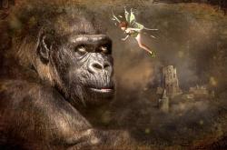 薛定锷的猫，量子世界的奇异悖论