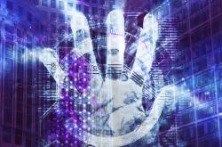 把大明星txt，揭秘数字化时代的粉丝互动新纪元