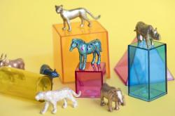 激发好奇心，如何为6-8岁儿童设计有趣且教育性的百科题目