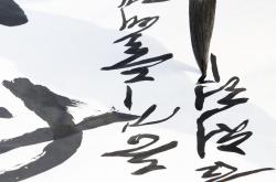 书法艺术的璀璨星空，探索全球书法家排名100