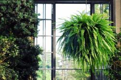 上海大学熟知网入口，一键开启学术资源的宝藏