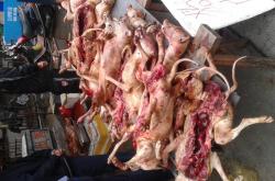 蒲城茶叶店卖狗肉的地方