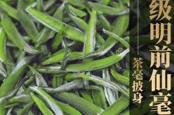 陕西安康茶叶有哪些