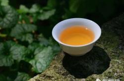 风寒感冒能喝茶叶茶吗