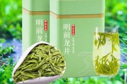 深圳龙井
