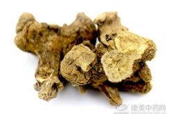 茶叶显微镜切片