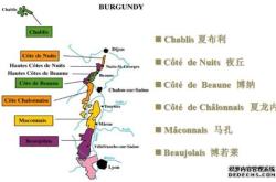 法国红酒产地有几个区