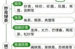 正源茶叶的管理体制是什么
