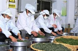 岳西哪个乡镇茶叶最好