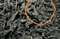 茶碱检测方法