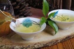 小袋鼠喝什么茶叶好一点