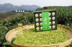 峨眉茶庄
