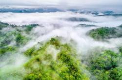 云茶山庄门票多少钱一人