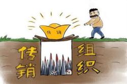 以茶叶为名做传销