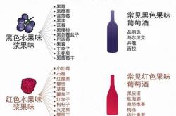 红酒怎么辨别好坏视频