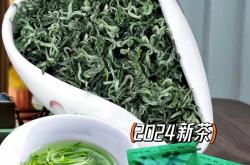 知名毛尖茶叶哪个牌子好