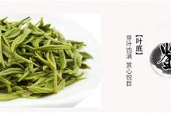 信阳茶叶排名第几