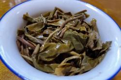 古树普洱茶叶底蚂蚁嘴