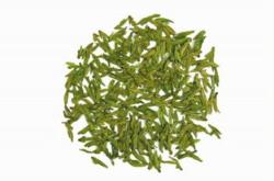武阳春茶是什么茶