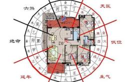 餐饮公司布局图