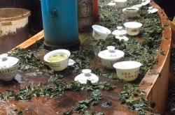 温州有名的茶叶