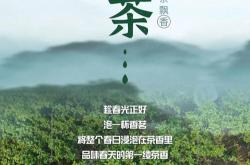 宜兴四季春茶叶价格查询