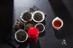 英德茶叶世界游玩攻略