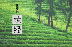 2021四川茶叶