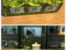 茶叶除了红茶绿茶还有哪些