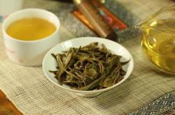 普洱金针是属什么茶
