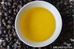 茶叶籽油与茶油的区别