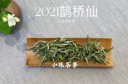 白牡丹茶叶多少钱一斤