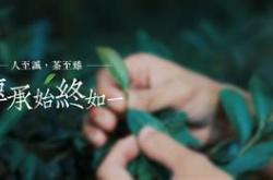 茶叶萃取