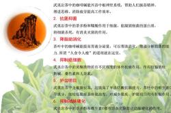 恩平茶叶特产