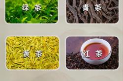 怎么看新茶好不好