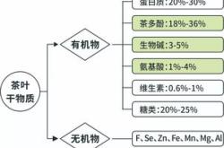 茶叶中化学成分含量最多的是