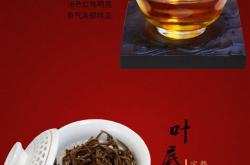英德茶叶官网