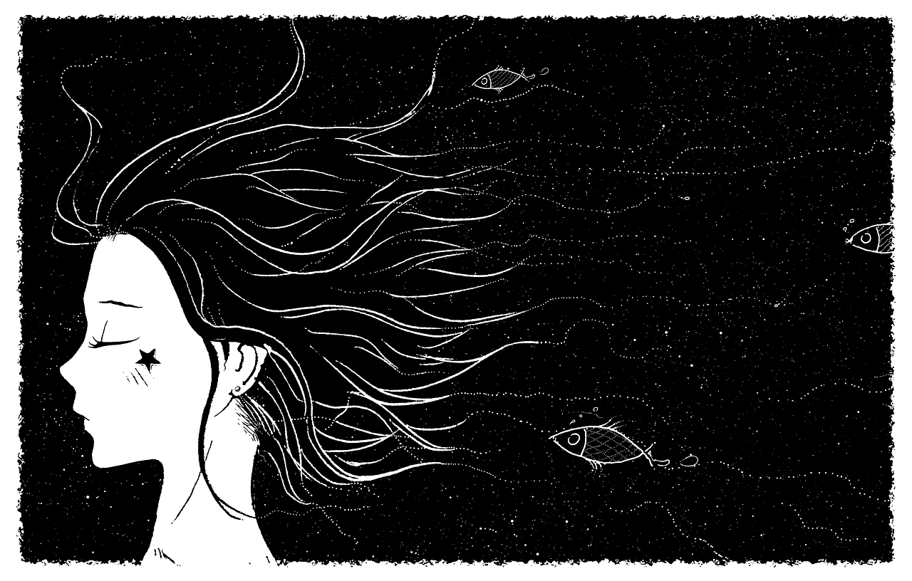 解梦，猫与鱼的奇妙交织——梦境中的象征与寓意