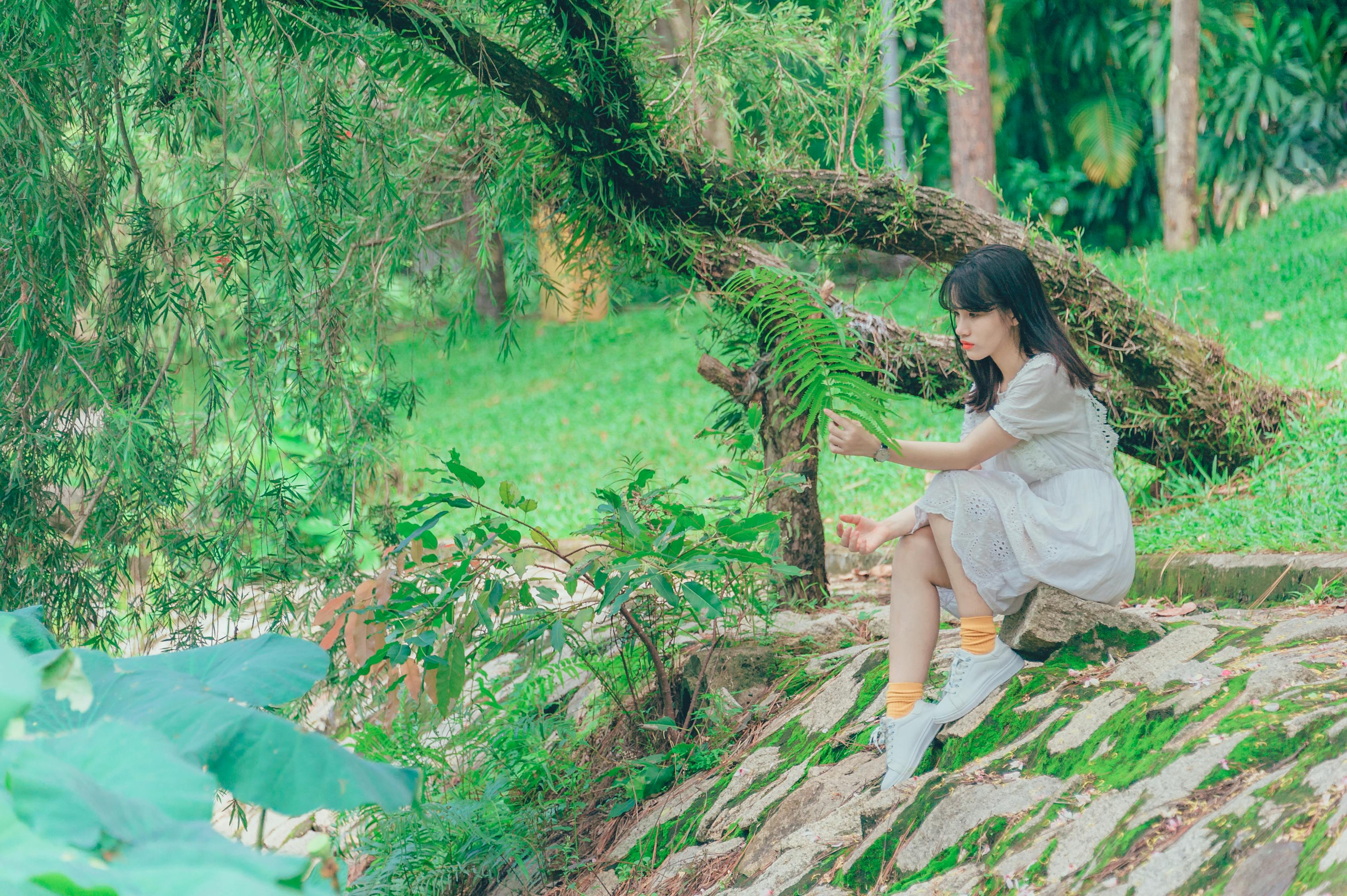药屋少女的呢喃，穿越时空的草药智慧