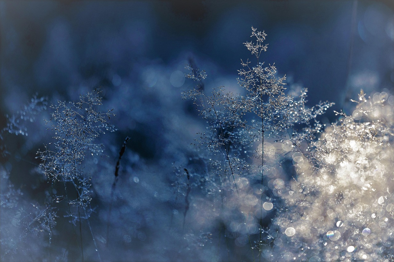 穿越冬寒，解读小雪背后的节气智慧—探索自然与生活的韵律