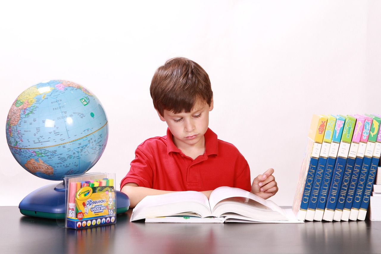 探索幼儿园，孩子们的常识世界