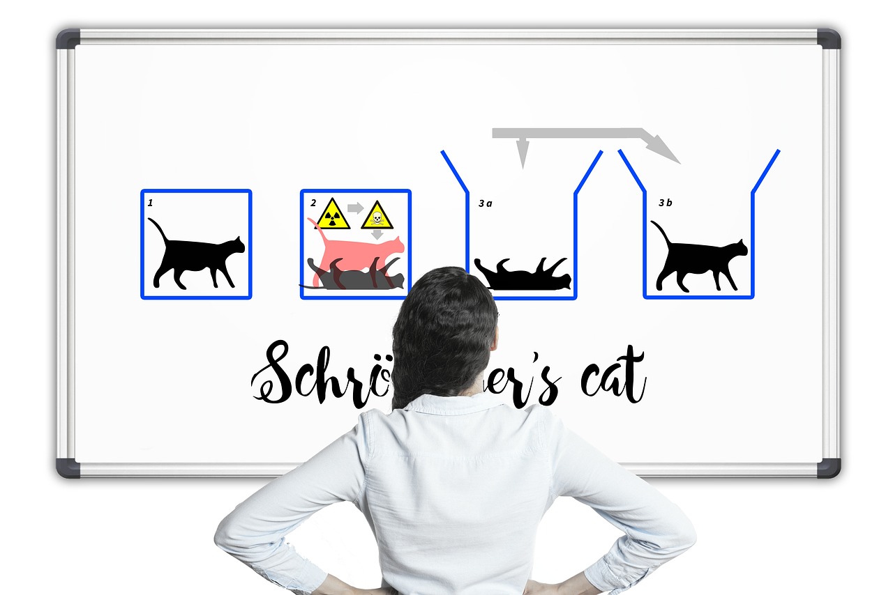 探索量子世界的奥秘，薛定谔的猫与量子力学的启示