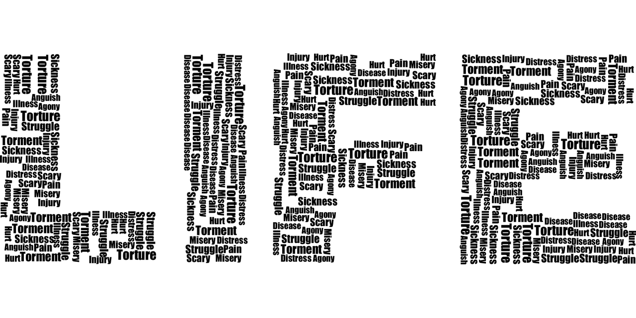 掌握生活智慧，基本常识必刷5000题的实用指南